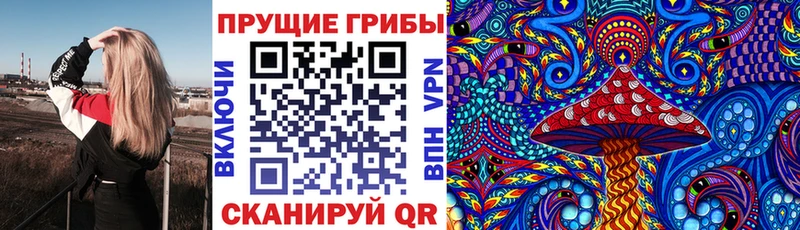 Галлюциногенные грибы прущие грибы  Норильск 