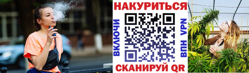Конопля сатива  Норильск 
